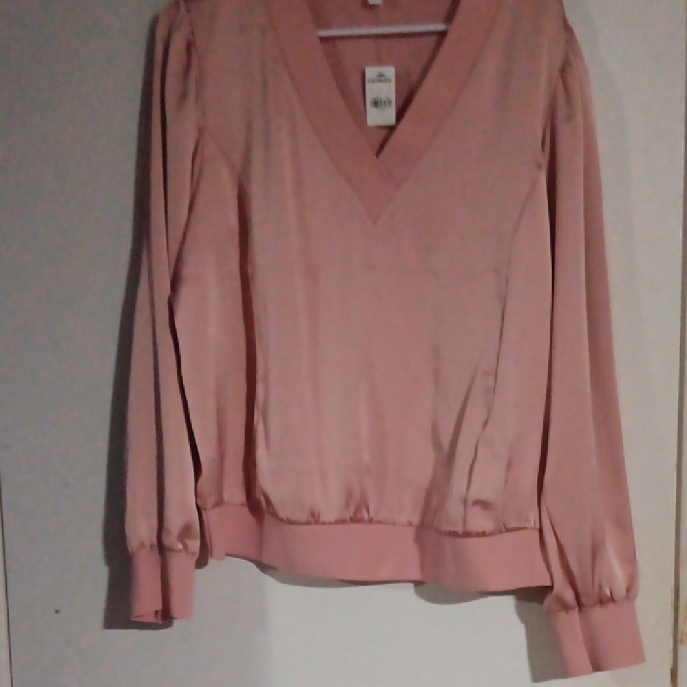 Express Blush V-Neck Top